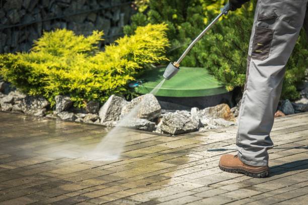 Pre-Holiday Cleaning in Kalaheo, HI