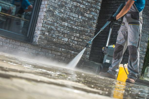 Best Dumpster Area Cleaning  in Kalaheo, HI